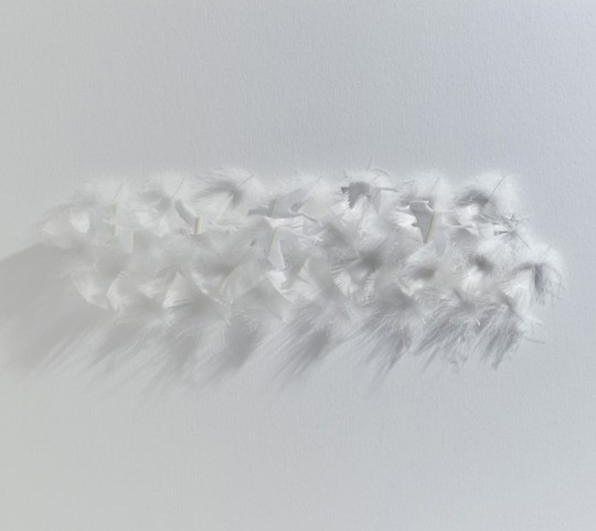 새들의 기털을 이용한 작품 | 인스티즈