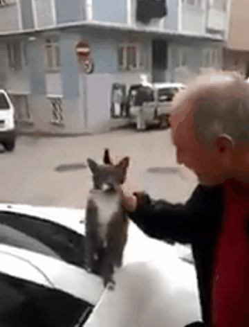 마 계속해라 냥 ~ | 인스티즈