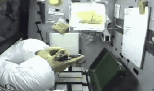 무중력 속 동물들의 모습.gif | 인스티즈