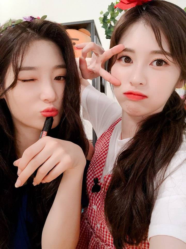 다이아 예빈 채연(움짤주의) | 인스티즈