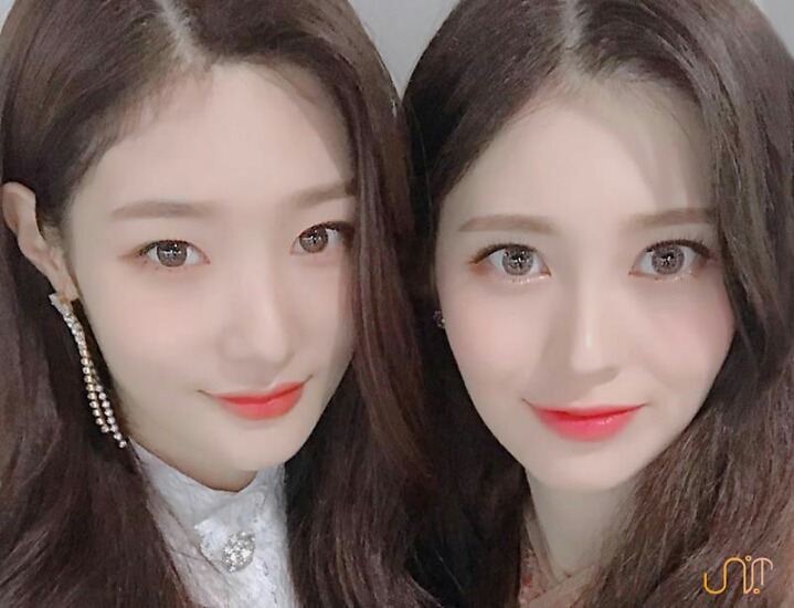 다이아 예빈 채연(움짤주의) | 인스티즈