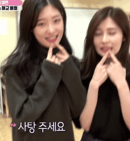 다이아 예빈 채연(움짤주의) | 인스티즈