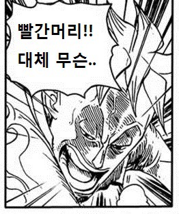 사황 샹크스의 신세계 싸움+생활방법 | 인스티즈