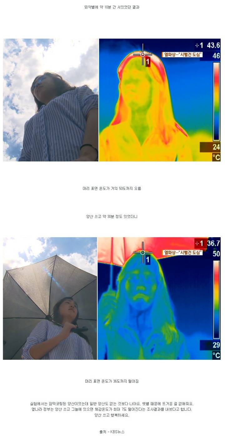 여름에 양산을 써야하는 이유 | 인스티즈