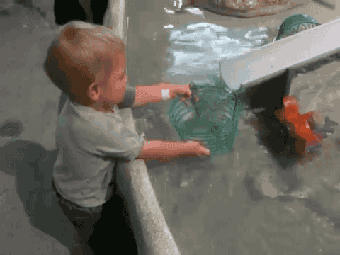 귀여운 아기들 | 인스티즈