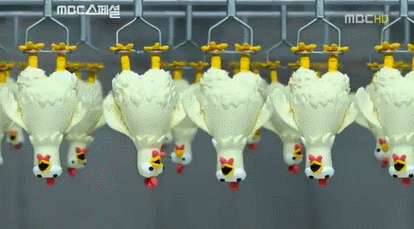 아이들의 동심을 지키기 위한 mbc의 노력 | 인스티즈