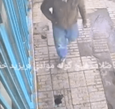 담배를 아무곳에 버리면 안되는 이유 | 인스티즈