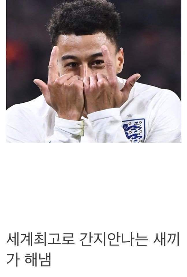 생각할수록 진짜 신기한 잉글랜드 jpg | 인스티즈