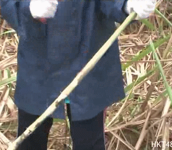 프로듀스48에서 시선강탈 쩌는 연습생 ㄷㄷㄷㄷ.gif | 인스티즈