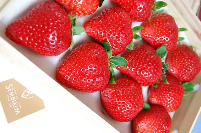 세계에서 제일 비싼 과일 TOP 10 | 인스티즈