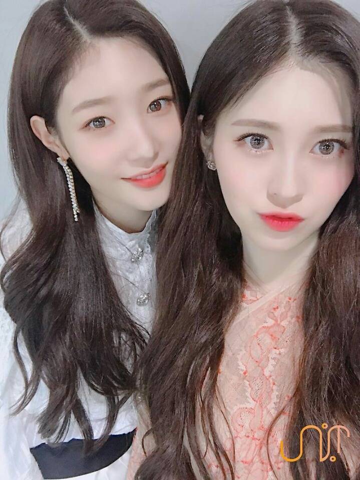 다이아 예빈 채연(움짤주의) | 인스티즈