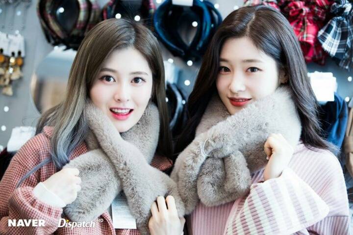 다이아 예빈 채연(움짤주의) | 인스티즈