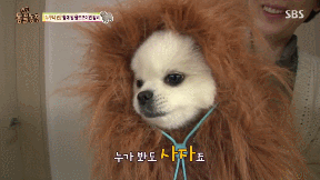 왜 현질을 해야하는가? | 인스티즈