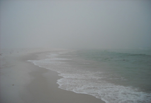  손을 뿌리치는 이유 | 인스티즈