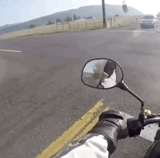 블랙박스 영상 4개.gif (혐오주의) | 인스티즈