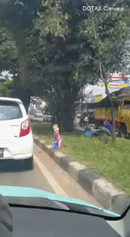 원숭이로 앵벌이 | 인스티즈