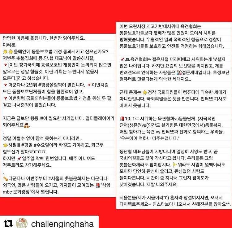 매주 수요일 서울 대구부산천안!!!! 동물보호법안 통과를 위한 촛불집회... 인원이 너무 적어... | 인스티즈