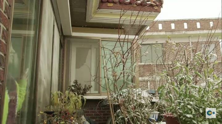 아픔을 느낄 수 없다면 좋은걸까? 무통증 환자 삼남매 이야기. #2 | 인스티즈