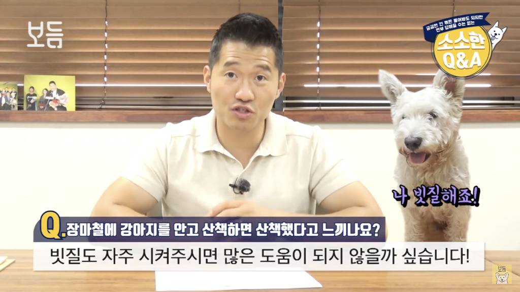 장마철에 강아지를 안고 산책하면 산책했다고 느끼나요?.jpg | 인스티즈