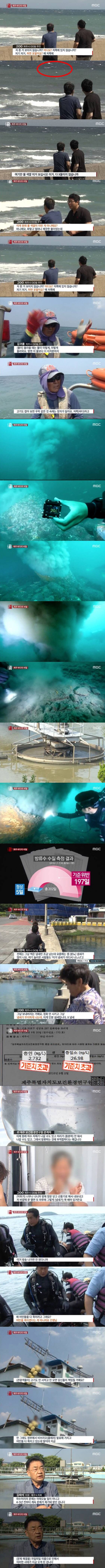 제주 바다의 비밀.jpg | 인스티즈