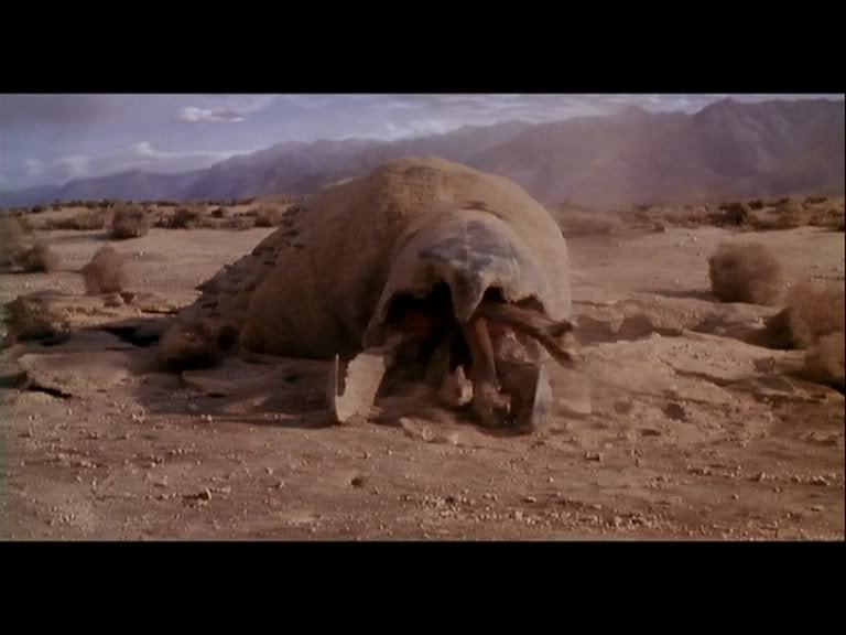 공포 영화 속 크리쳐들(혐오주의) | 인스티즈