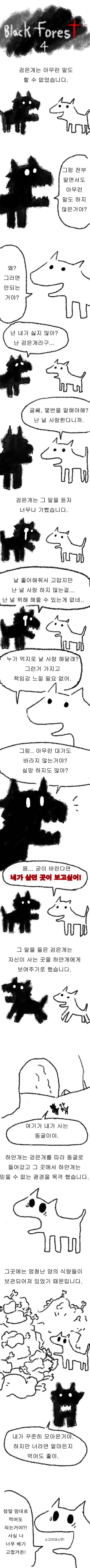  블랙 포레스트 | 인스티즈