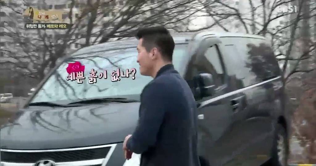 강아지가 흙이나 땅에 몸을 비비는 이유.jpg | 인스티즈