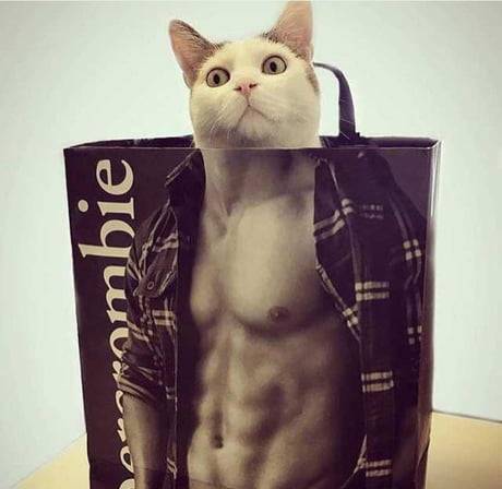 다들 나정도는 되는거냥? | 인스티즈