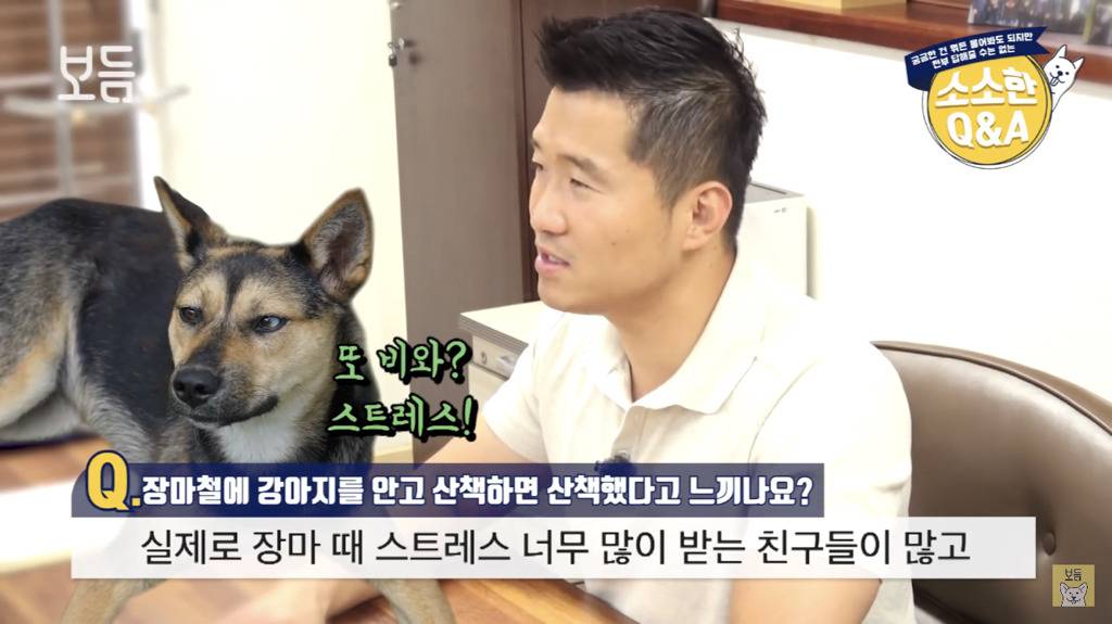 장마철에 강아지를 안고 산책하면 산책했다고 느끼나요?.jpg | 인스티즈