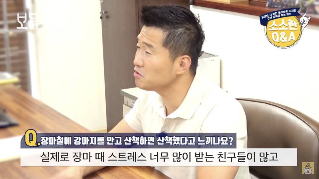 장마철에 강아지를 안고 산책하면 산책했다고 느끼나요?.jpg | 인스티즈