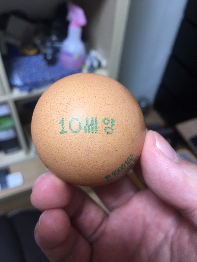 계란이 대뜸 시비를 건다 | 인스티즈