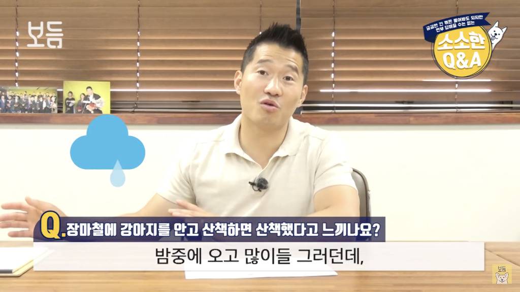 장마철에 강아지를 안고 산책하면 산책했다고 느끼나요?.jpg | 인스티즈