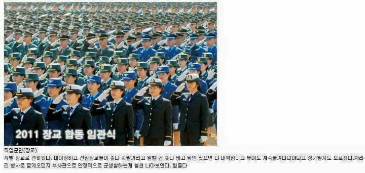 각 직업군별 종사자들이 하는 말 | 인스티즈