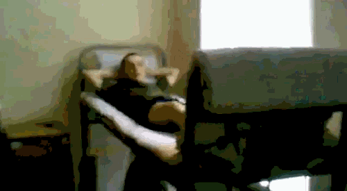 미련한 사람들 GIF | 인스티즈