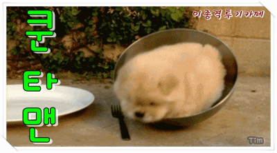 칼로리 폭탄 | 인스티즈