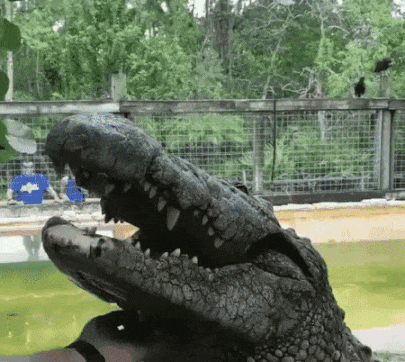 누구나 사랑이 필요해 | 인스티즈