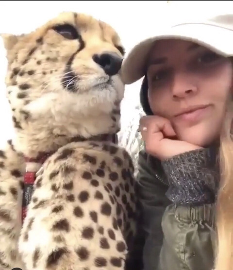 키우면 든든한 귀여운 냐옹이 | 인스티즈