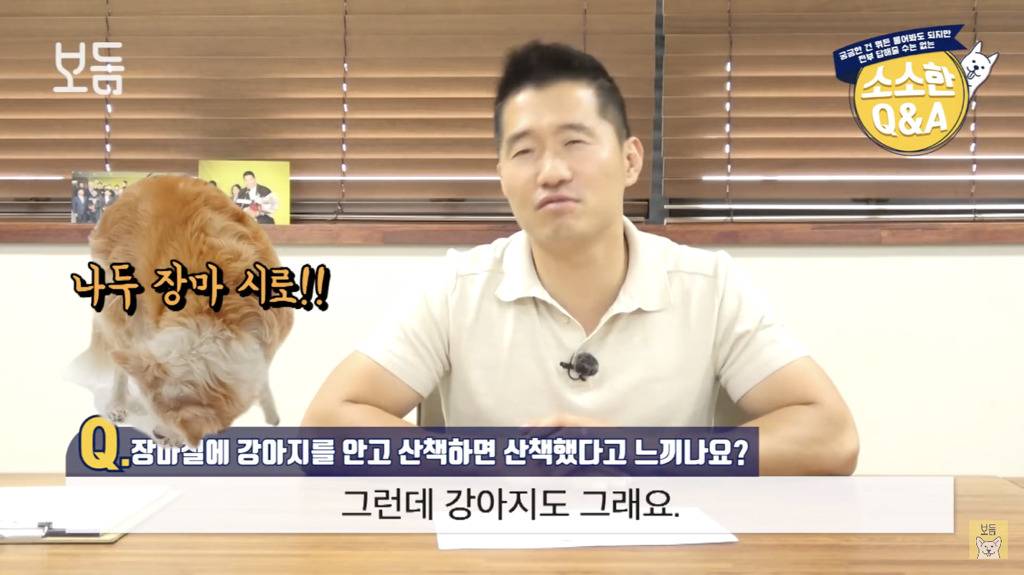 장마철에 강아지를 안고 산책하면 산책했다고 느끼나요?.jpg | 인스티즈