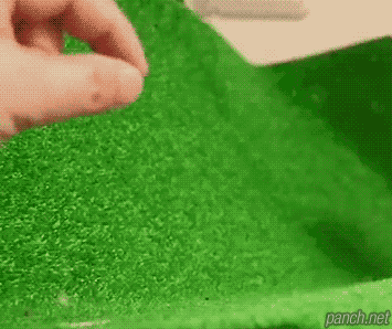 부엉이는 왜 머리를 까딱까딱거리며 위협하는걸까?.jpgif (데이터주의) | 인스티즈