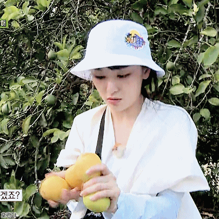 180720 정글의법칙 레드벨벳 슬기.gif | 인스티즈