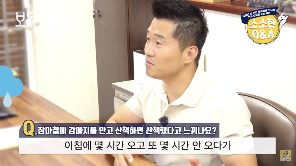 장마철에 강아지를 안고 산책하면 산책했다고 느끼나요?.jpg | 인스티즈