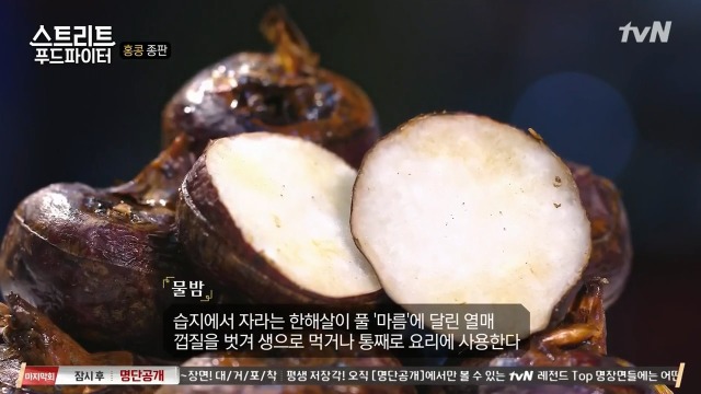 [스트리트푸드파이터] 혼자 딤섬 먹기 부담스러운 사람들을 위해 탄생한 음식 '종판' | 인스티즈