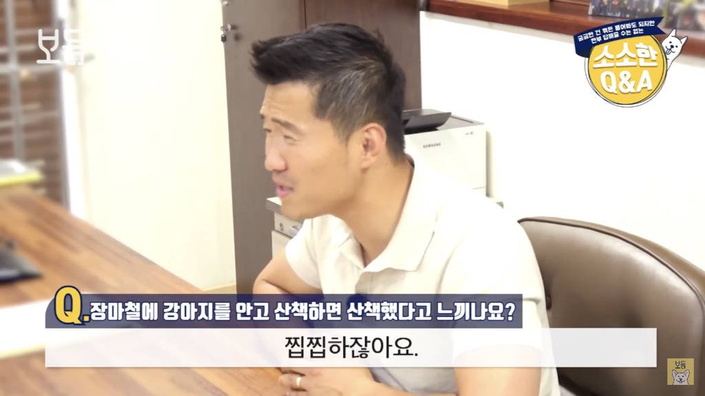 장마철에 강아지를 안고 산책하면 산책했다고 느끼나요?.jpg | 인스티즈