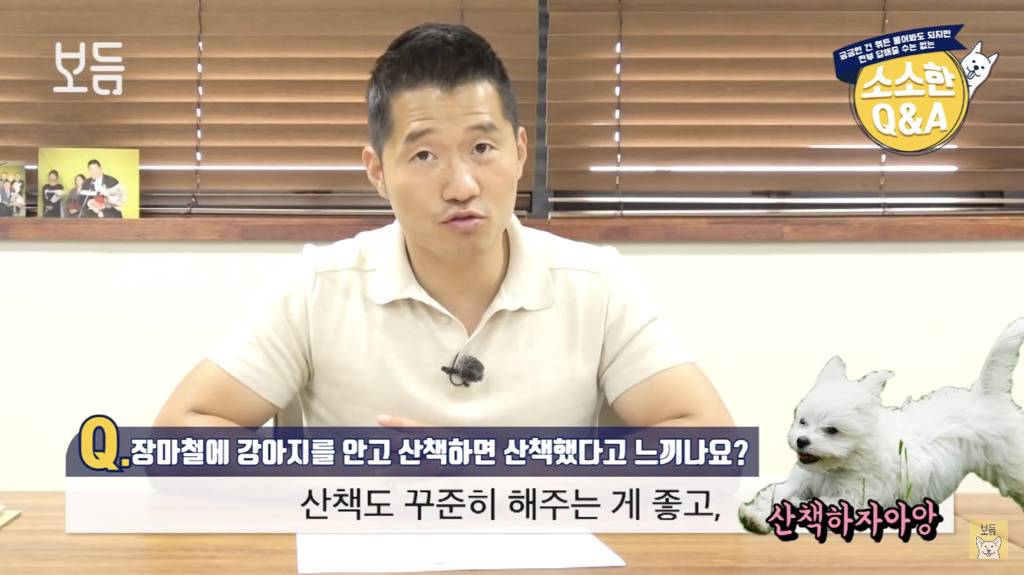 장마철에 강아지를 안고 산책하면 산책했다고 느끼나요?.jpg | 인스티즈