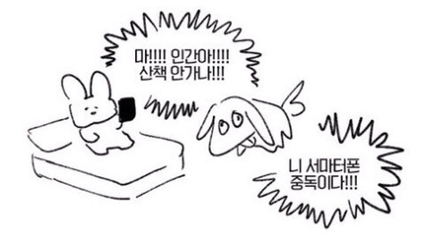 마!! 인간아!! 산책나가야지!! 니 서마터폰 중독이다!! | 인스티즈