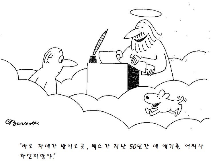 애견인들이 보면 찡해지는 짤.jpg | 인스티즈