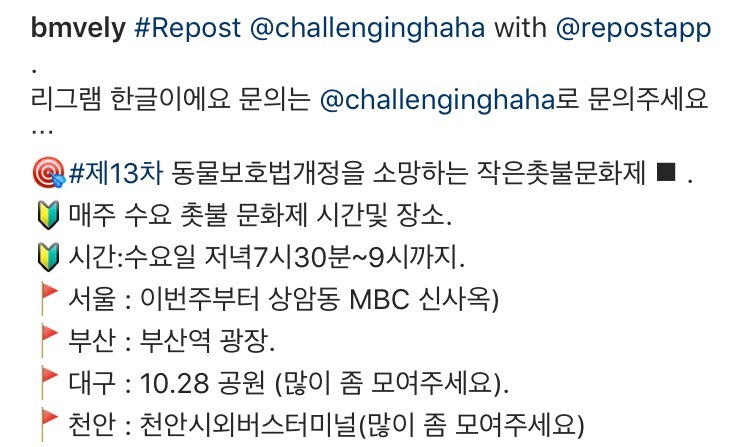 매주 수요일 서울 대구부산천안!!!! 동물보호법안 통과를 위한 촛불집회... 인원이 너무 적어... | 인스티즈