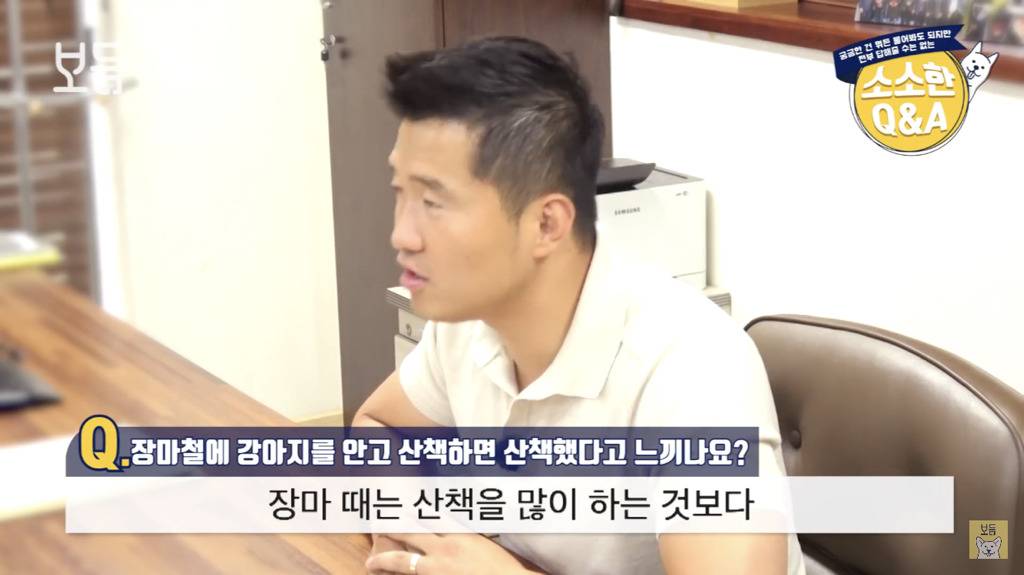 장마철에 강아지를 안고 산책하면 산책했다고 느끼나요?.jpg | 인스티즈