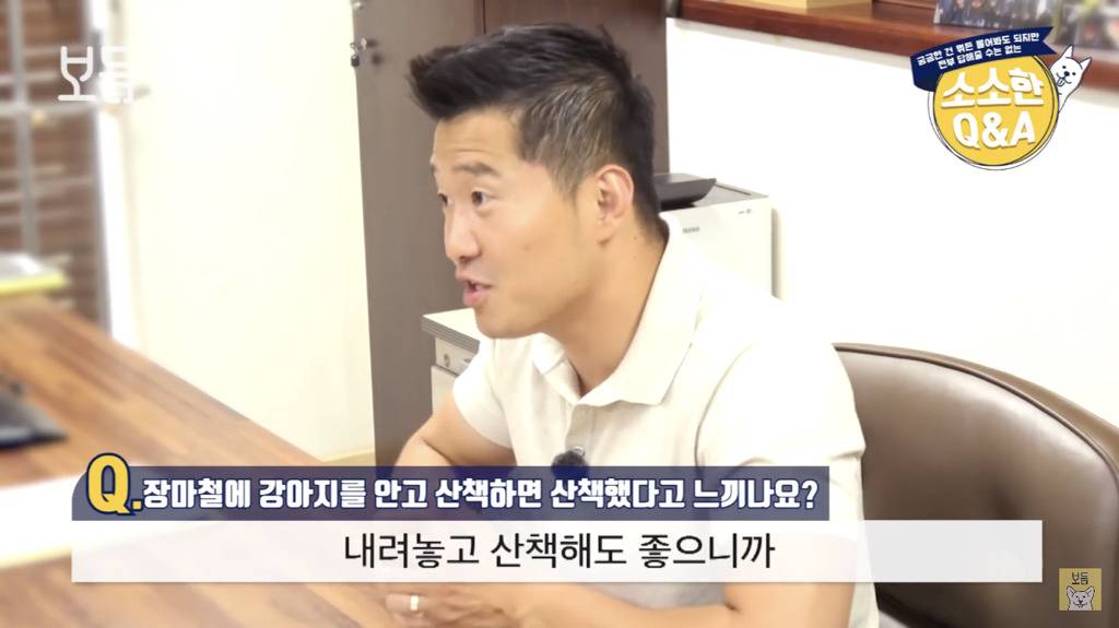 장마철에 강아지를 안고 산책하면 산책했다고 느끼나요?.jpg | 인스티즈