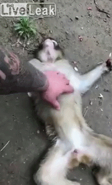 ?? : 우리가 벨기에를 꺽고 8강을 가다니..꿈만같군 | 인스티즈